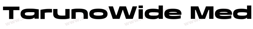 TarunoWide MediumIta字体转换